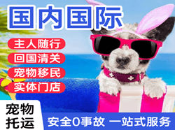 右旗巴丹吉林航空运输国际宠物托运 【国
